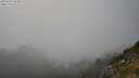 ./images/calvert/foggy-cove/20250730/foggy-cove20250730_183012M.jpg