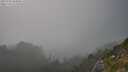 ./images/calvert/foggy-cove/20250730/foggy-cove20250730_184010M.jpg