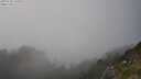 ./images/calvert/foggy-cove/20250730/foggy-cove20250730_185009M.jpg