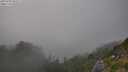 ./images/calvert/foggy-cove/20250730/foggy-cove20250730_185507M.jpg