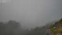 ./images/calvert/foggy-cove/20250730/foggy-cove20250730_190009M.jpg