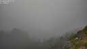 ./images/calvert/foggy-cove/20250730/foggy-cove20250730_191009M.jpg