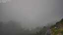 ./images/calvert/foggy-cove/20250730/foggy-cove20250730_191508M.jpg