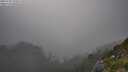 ./images/calvert/foggy-cove/20250730/foggy-cove20250730_192009M.jpg