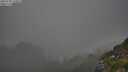 ./images/calvert/foggy-cove/20250730/foggy-cove20250730_193008M.jpg