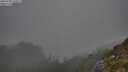 ./images/calvert/foggy-cove/20250730/foggy-cove20250730_193507M.jpg