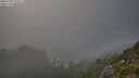 ./images/calvert/foggy-cove/20250730/foggy-cove20250730_194007M.jpg