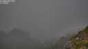 ./images/calvert/foggy-cove/20250730/foggy-cove20250730_195007M.jpg