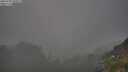 ./images/calvert/foggy-cove/20250730/foggy-cove20250730_200009M.jpg