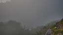 ./images/calvert/foggy-cove/20250730/foggy-cove20250730_201008M.jpg
