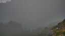 ./images/calvert/foggy-cove/20250730/foggy-cove20250730_204509M.jpg