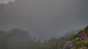 ./images/calvert/foggy-cove/20250730/foggy-cove20250730_205508M.jpg