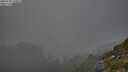 ./images/calvert/foggy-cove/20250730/foggy-cove20250730_210008M.jpg