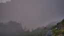 ./images/calvert/foggy-cove/20250730/foggy-cove20250730_211010M.jpg