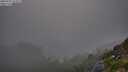 ./images/calvert/foggy-cove/20250730/foggy-cove20250730_213507M.jpg