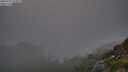 ./images/calvert/foggy-cove/20250730/foggy-cove20250730_214009M.jpg