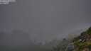 ./images/calvert/foggy-cove/20250730/foggy-cove20250730_214508M.jpg