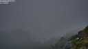 ./images/calvert/foggy-cove/20250730/foggy-cove20250730_215006M.jpg