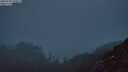 ./images/calvert/foggy-cove/20250730/foggy-cove20250730_220506M.jpg