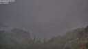 ./images/calvert/foggy-cove/20250731/foggy-cove20250731_053508M.jpg