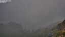 ./images/calvert/foggy-cove/20250731/foggy-cove20250731_054509M.jpg