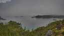 ./images/calvert/foggy-cove/20250731/foggy-cove20250731_075009M.jpg