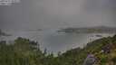 ./images/calvert/foggy-cove/20250731/foggy-cove20250731_082009M.jpg