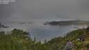 ./images/calvert/foggy-cove/20250731/foggy-cove20250731_082509M.jpg