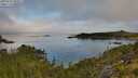 ./images/calvert/foggy-cove/20250731/foggy-cove20250731_090011M.jpg