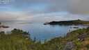 ./images/calvert/foggy-cove/20250731/foggy-cove20250731_090510M.jpg