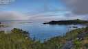 ./images/calvert/foggy-cove/20250731/foggy-cove20250731_091009M.jpg
