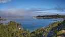./images/calvert/foggy-cove/20250731/foggy-cove20250731_093508M.jpg