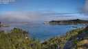 ./images/calvert/foggy-cove/20250731/foggy-cove20250731_094010M.jpg