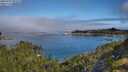 ./images/calvert/foggy-cove/20250731/foggy-cove20250731_094510M.jpg