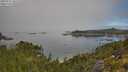 ./images/calvert/foggy-cove/20250731/foggy-cove20250731_101510M.jpg