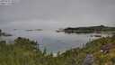 ./images/calvert/foggy-cove/20250731/foggy-cove20250731_105008M.jpg