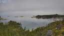 ./images/calvert/foggy-cove/20250731/foggy-cove20250731_105510M.jpg