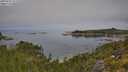 ./images/calvert/foggy-cove/20250731/foggy-cove20250731_111510M.jpg