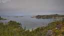./images/calvert/foggy-cove/20250731/foggy-cove20250731_112509M.jpg