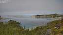 ./images/calvert/foggy-cove/20250731/foggy-cove20250731_114510M.jpg