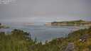 ./images/calvert/foggy-cove/20250731/foggy-cove20250731_115008M.jpg