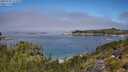 ./images/calvert/foggy-cove/20250731/foggy-cove20250731_121010M.jpg