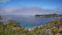 ./images/calvert/foggy-cove/20250731/foggy-cove20250731_121510M.jpg