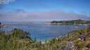 ./images/calvert/foggy-cove/20250731/foggy-cove20250731_122010M.jpg
