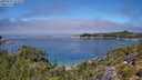 ./images/calvert/foggy-cove/20250731/foggy-cove20250731_122510M.jpg