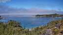 ./images/calvert/foggy-cove/20250731/foggy-cove20250731_123010M.jpg