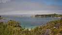 ./images/calvert/foggy-cove/20250731/foggy-cove20250731_124510M.jpg