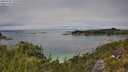 ./images/calvert/foggy-cove/20250731/foggy-cove20250731_135510M.jpg
