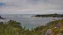 ./images/calvert/foggy-cove/20250731/foggy-cove20250731_143510M.jpg