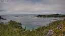 ./images/calvert/foggy-cove/20250731/foggy-cove20250731_144010M.jpg